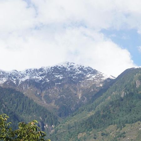 Himalayan Woods Cottage Manāli Exteriér fotografie