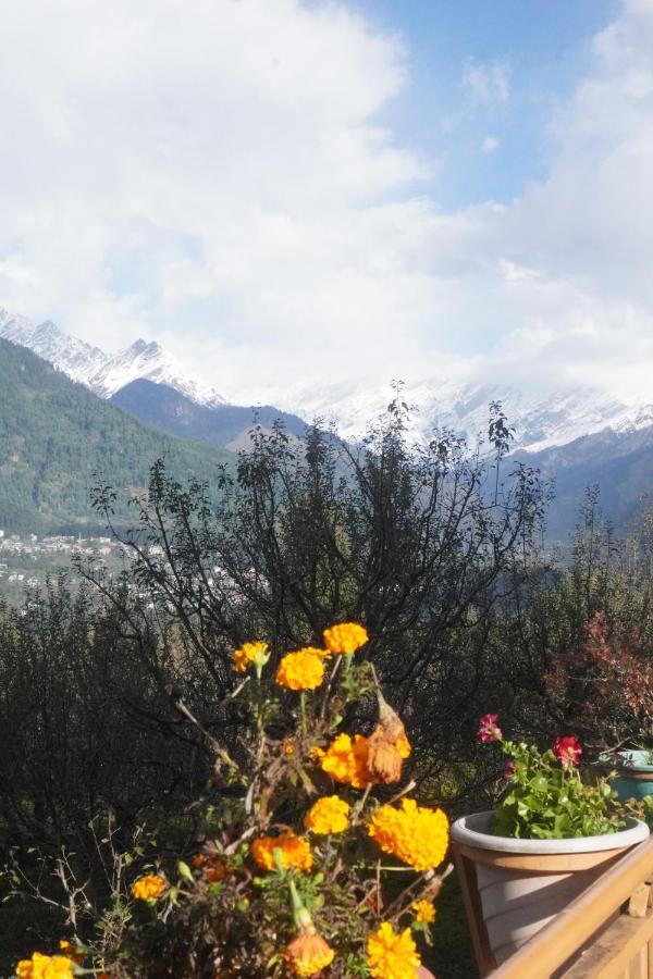 Himalayan Woods Cottage Manāli Exteriér fotografie