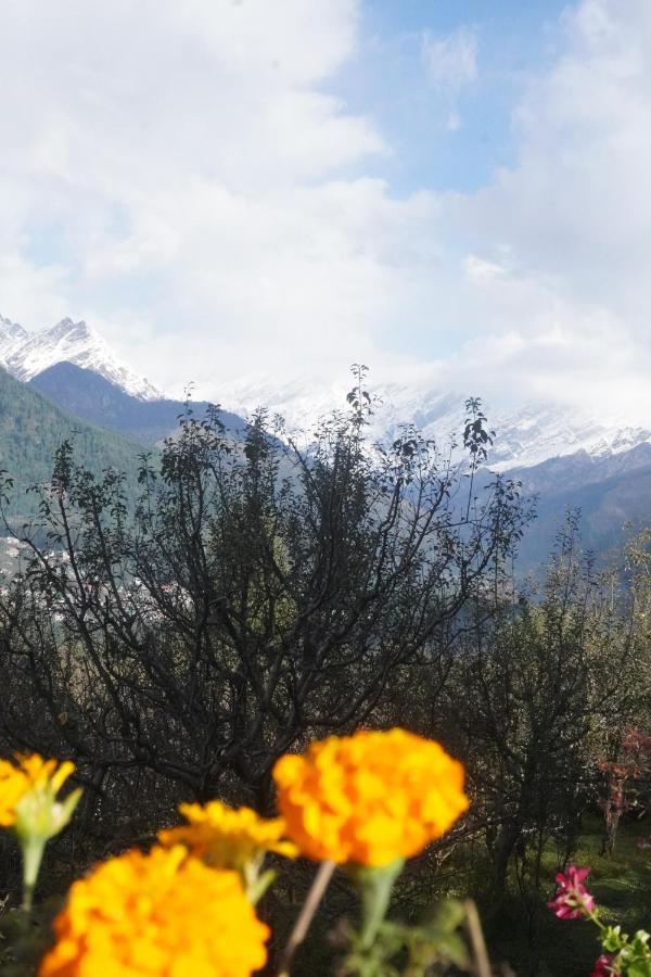 Himalayan Woods Cottage Manāli Exteriér fotografie